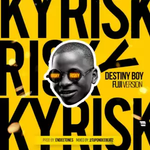 Destiny Boy - Risky Cover (Fuji Version) ft Davido